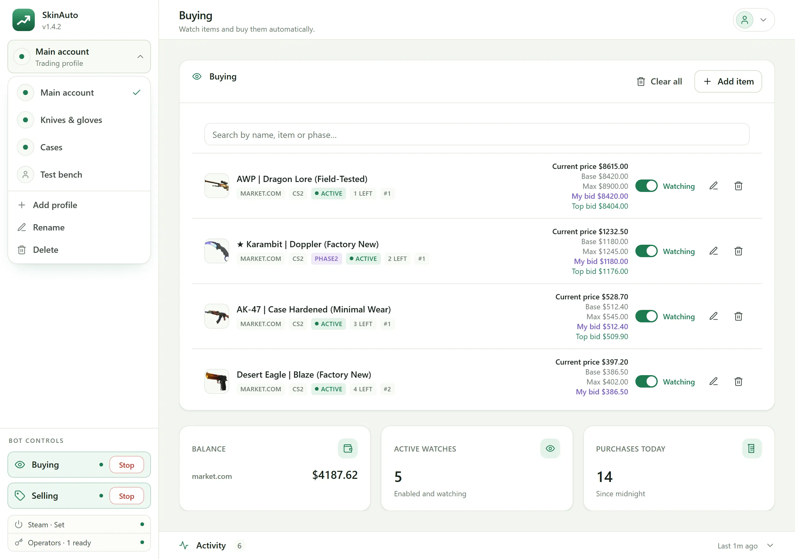 Profiles screen of the SkinAuto desktop app
